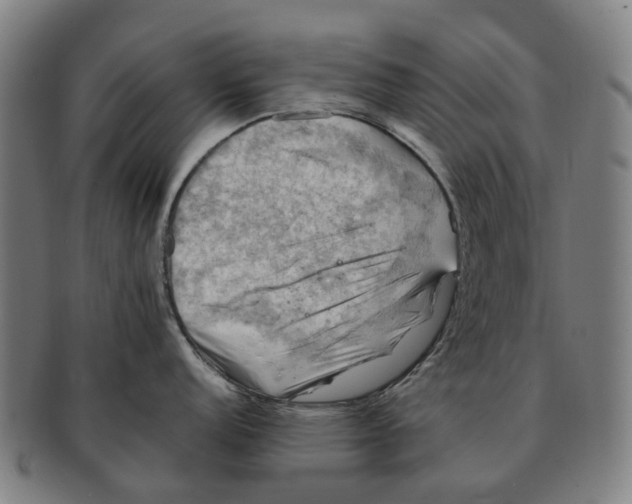 X0000091011152200708301351