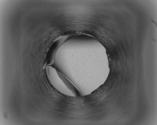 X0000091011153200708301351