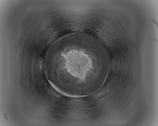 X0000091011154200708301351