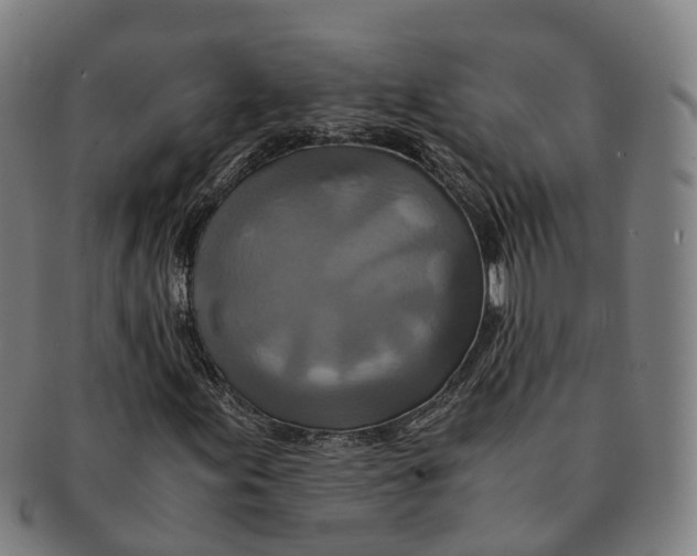 X0000091011155200708301351