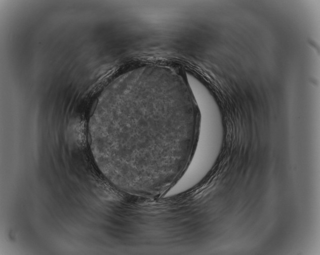 X0000091011156200708301350