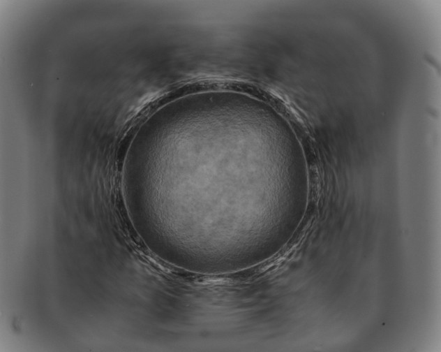 X0000091011157200708301350