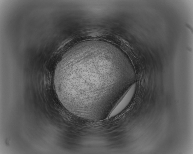 X0000091011158200708301350