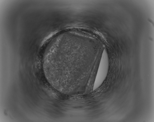 X0000091011159200708301350