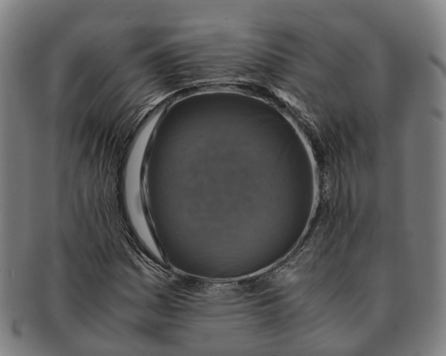 X0000091011161200708301350