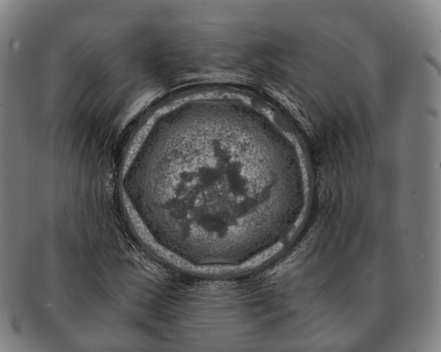 X0000091011163200708301350