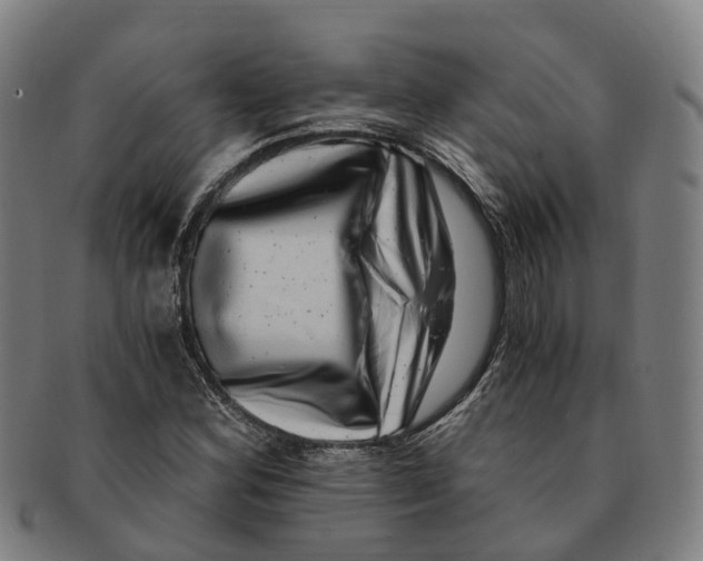 X0000091011164200708301350