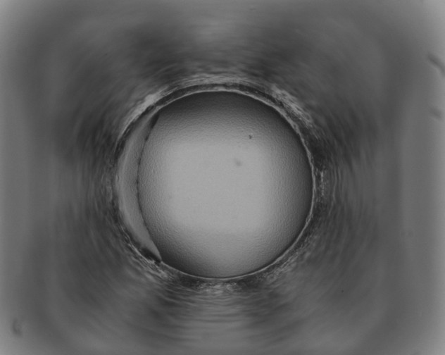 X0000091011165200708301350