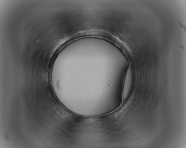 X0000091011166200708301350