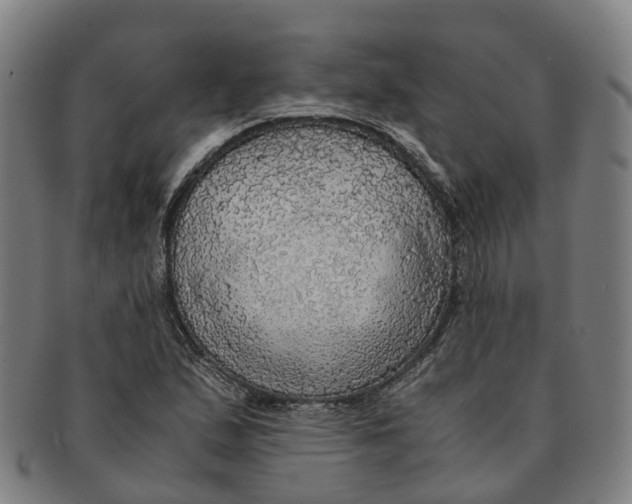 X0000091011167200708301350