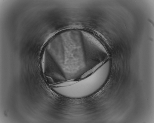 X0000091011168200708301350