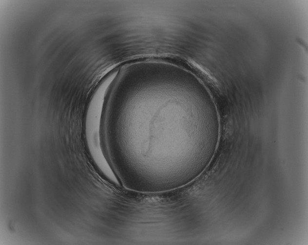 X0000091011169200708301350