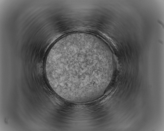 X0000091011170200708301350