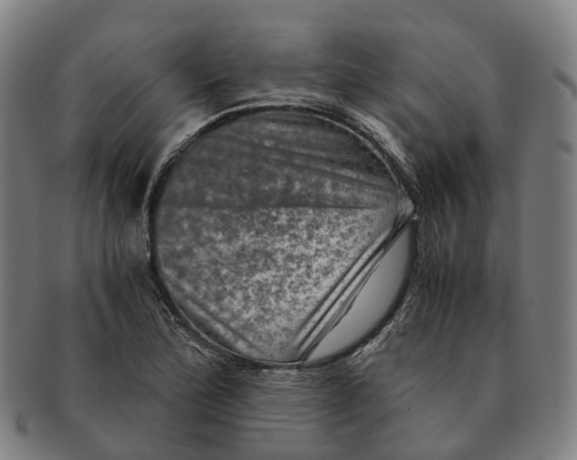 X0000091011172200708301350