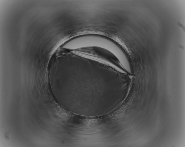 X0000091011173200708301350