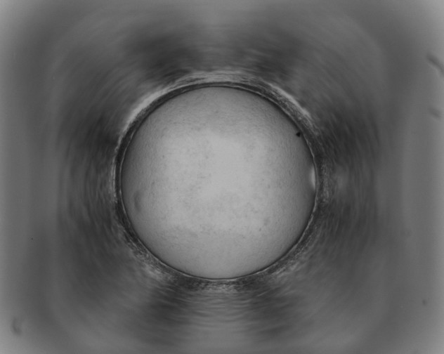 X0000091011174200708301350