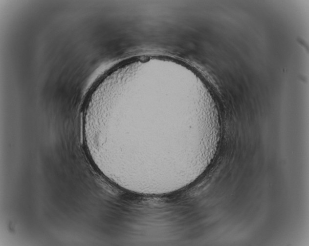 X0000091011175200708301350