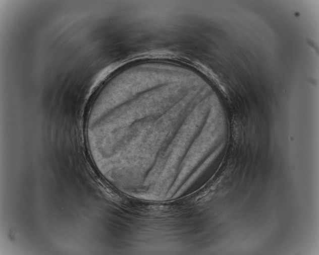 X0000091011176200708301350