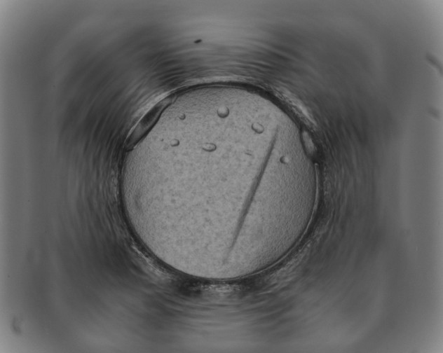 X0000091011177200708301350