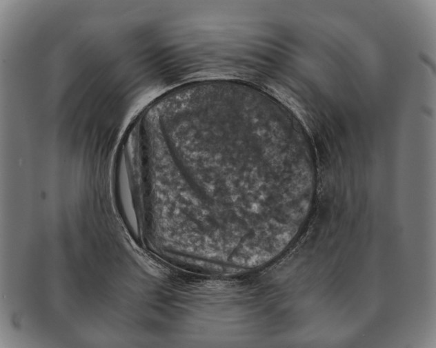 X0000091011179200708301350