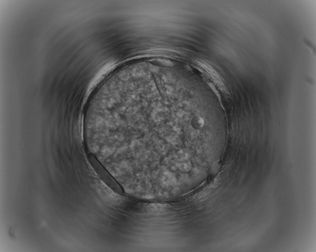 X0000091011180200708301350