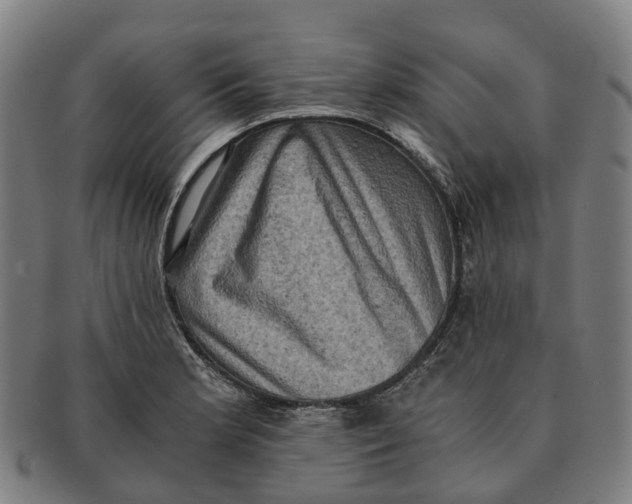 X0000091011181200708301350