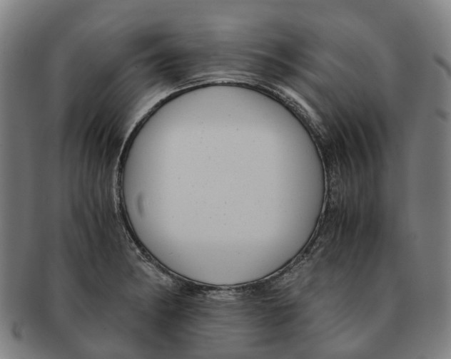 X0000091011182200708301350