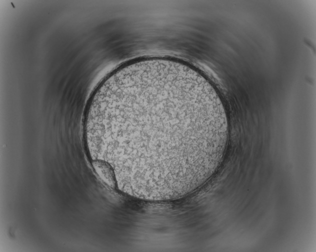 X0000091011183200708301350