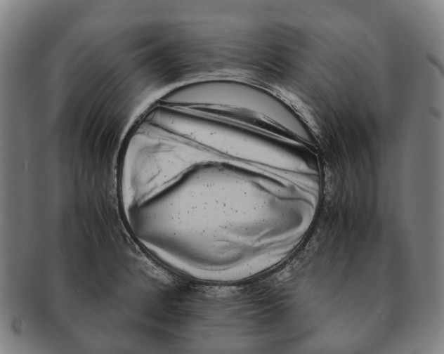 X0000091011184200708301350