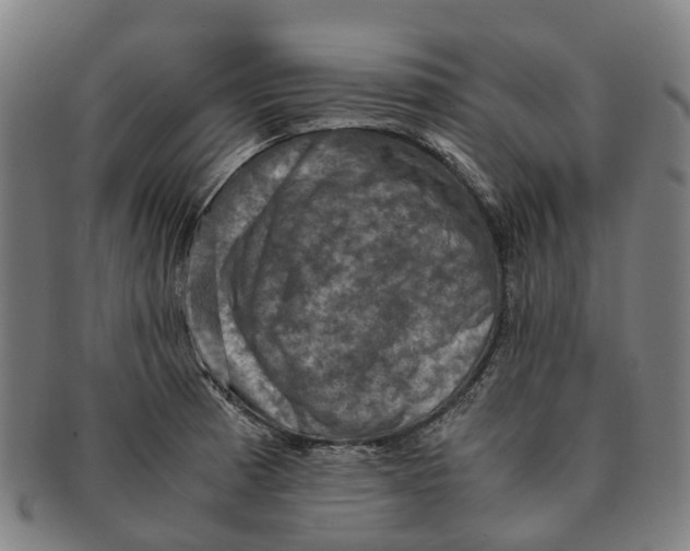 X0000091011185200708301350