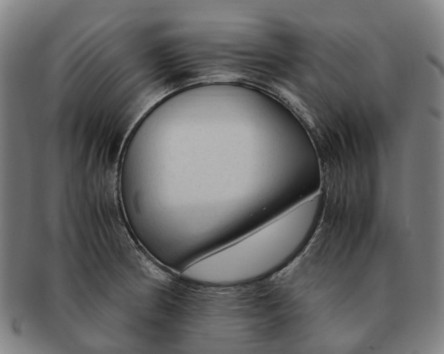 X0000091011186200708301350