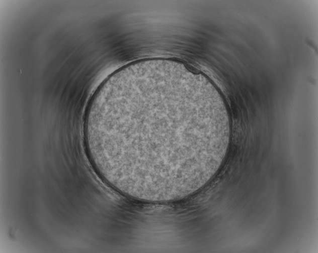 X0000091011187200708301350