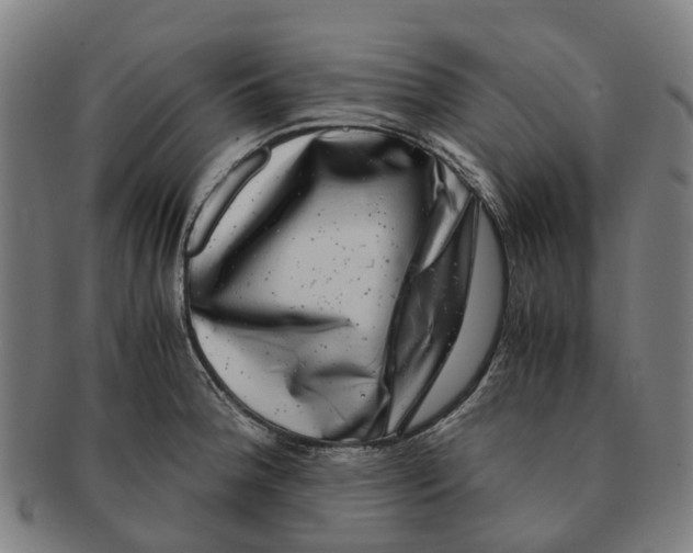 X0000091011188200708301350