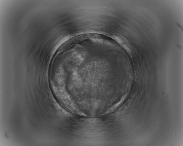 X0000091011189200708301350