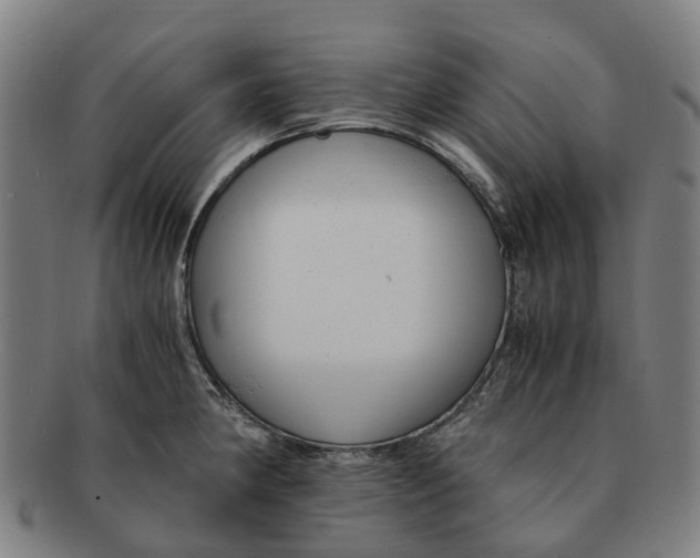 X0000091011190200708301350