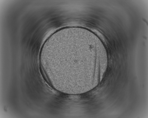 X0000091011191200708301350