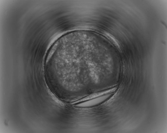 X0000091011192200708301350