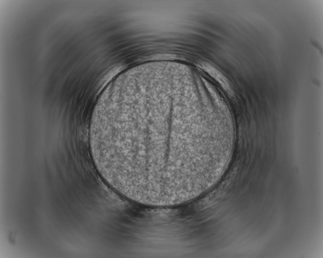 X0000091011193200708301350