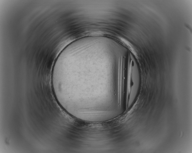 X0000091011194200708301350