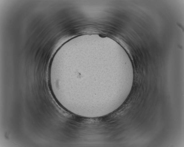 X0000091011195200708301350