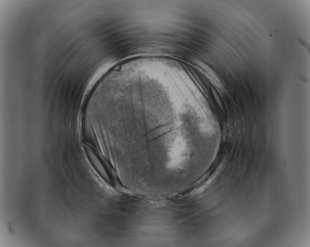 X0000091011196200708301350