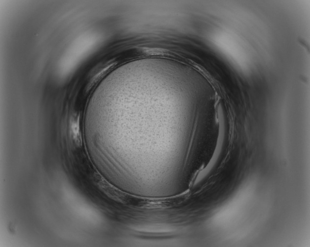 X0000091011198200708301350