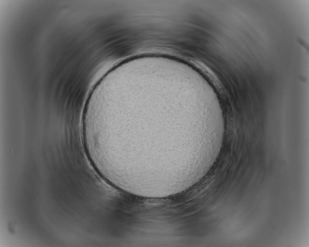 X0000091011199200708301350