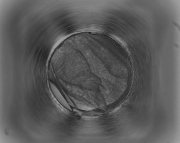 X0000091011200200708301350