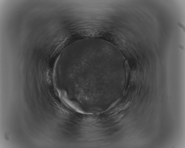 X0000091011202200708301349