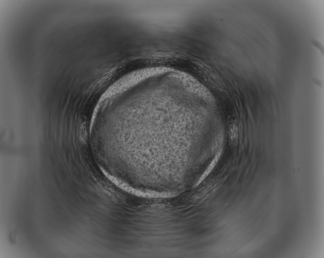 X0000091011204200708301349