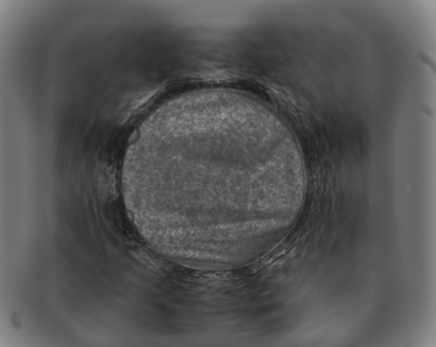 X0000091011205200708301349