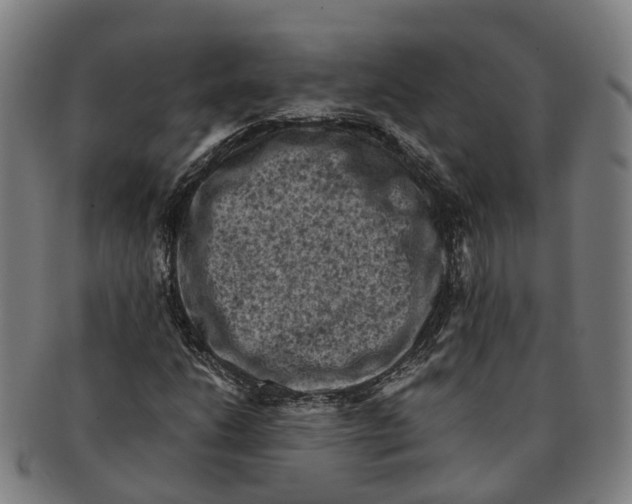 X0000091011206200708301349