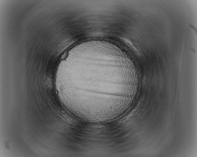 X0000091011209200708301349