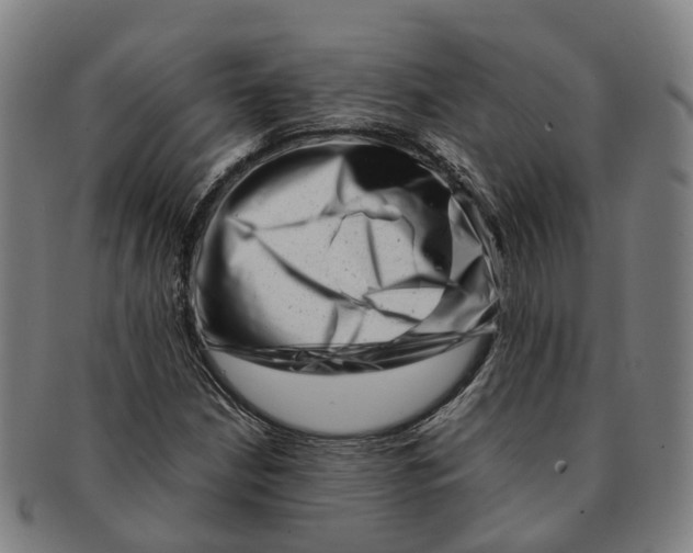 X0000091011210200708301349